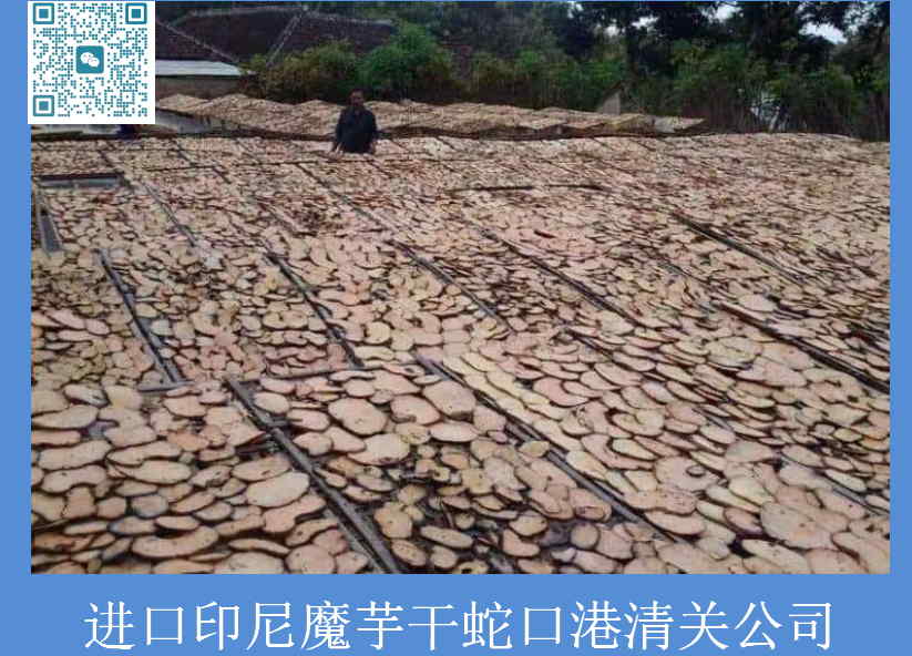 魔芋干蛇口港清關(guān)公司.jpg