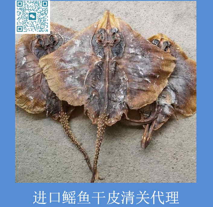 進口鰩魚干皮清關.jpg
