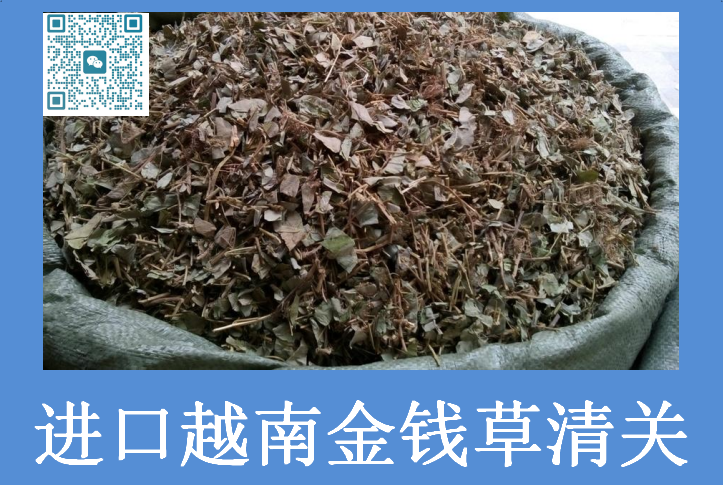 越南金錢草清關(guān).png