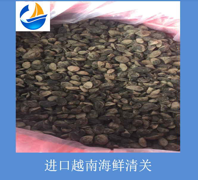 進(jìn)口越南海鮮清關(guān).jpg